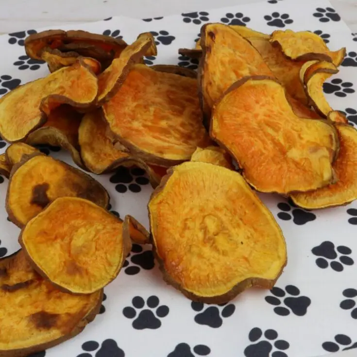 Air Fryer Chicken Sweet Potato Dog Chips