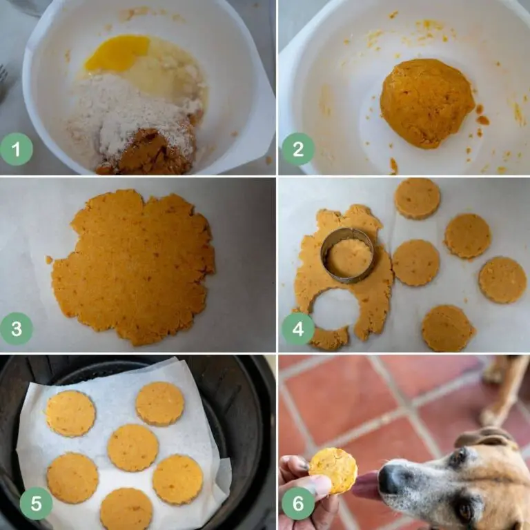 Air Fryer Sweet Potato Dog Treats