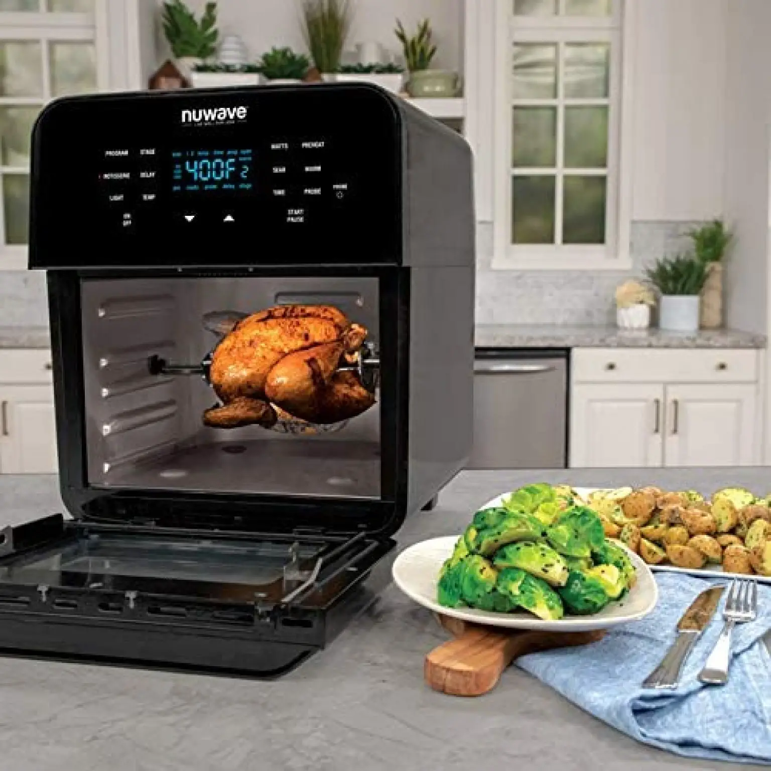 Best Large Air Fryers for Large Family