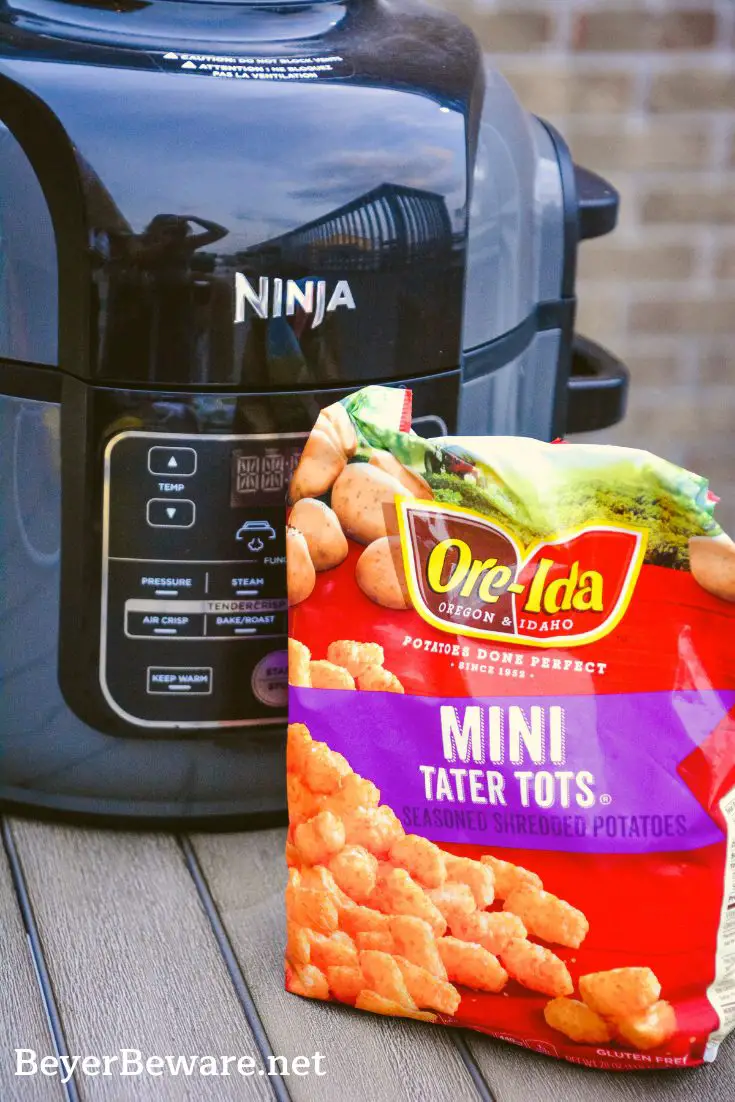 Ninja Foodi Air Fryer Tater Tots are the best made at home ...
